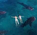 391FF514-2DA0-45DA-8374-63500719D803